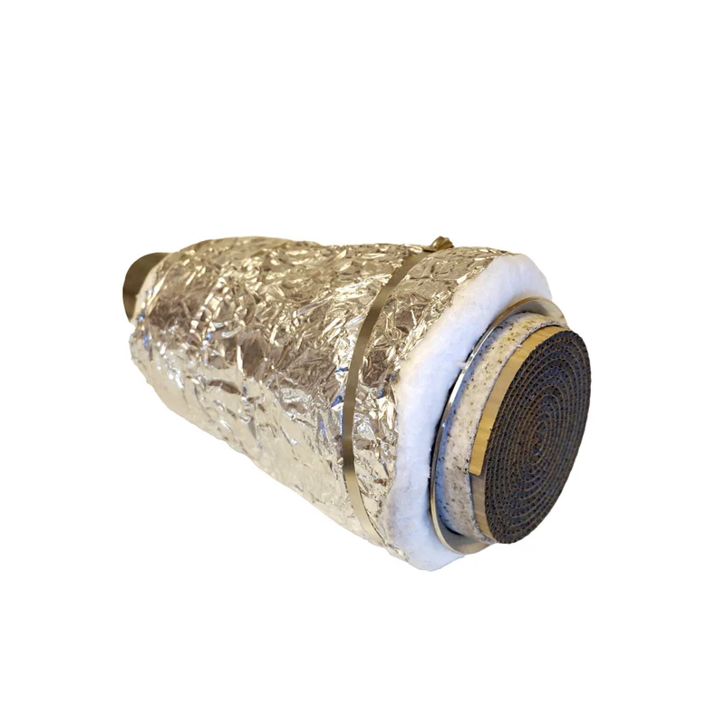 Catalytic converter assembly w/housing (2015-2019)