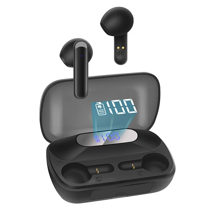 Power Bank Earbuds