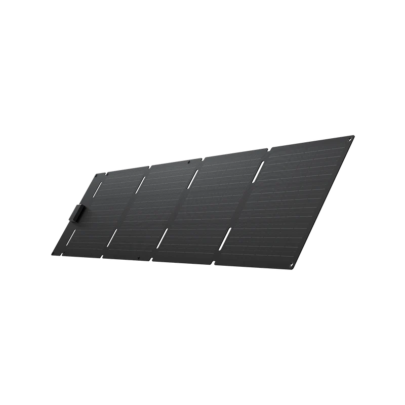 EcoFlow 60W Portable Solar Panel