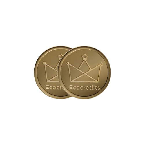 1000 EcoCredits - Flash Sale