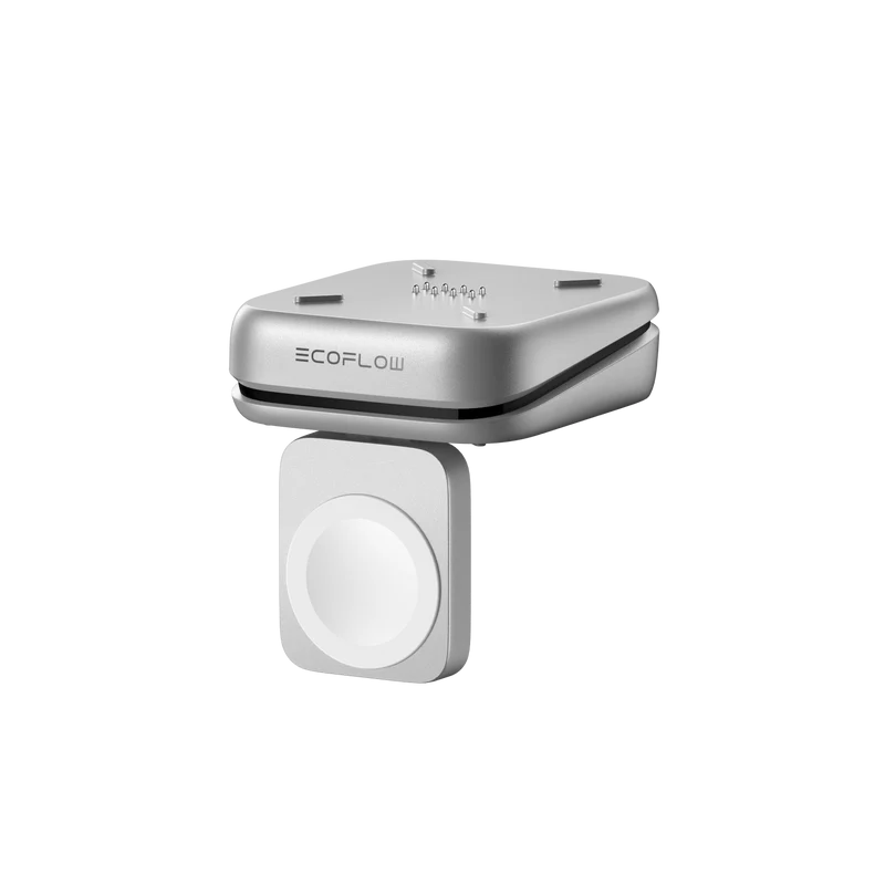 EcoFlow RAPID Pro X Magnetic Block