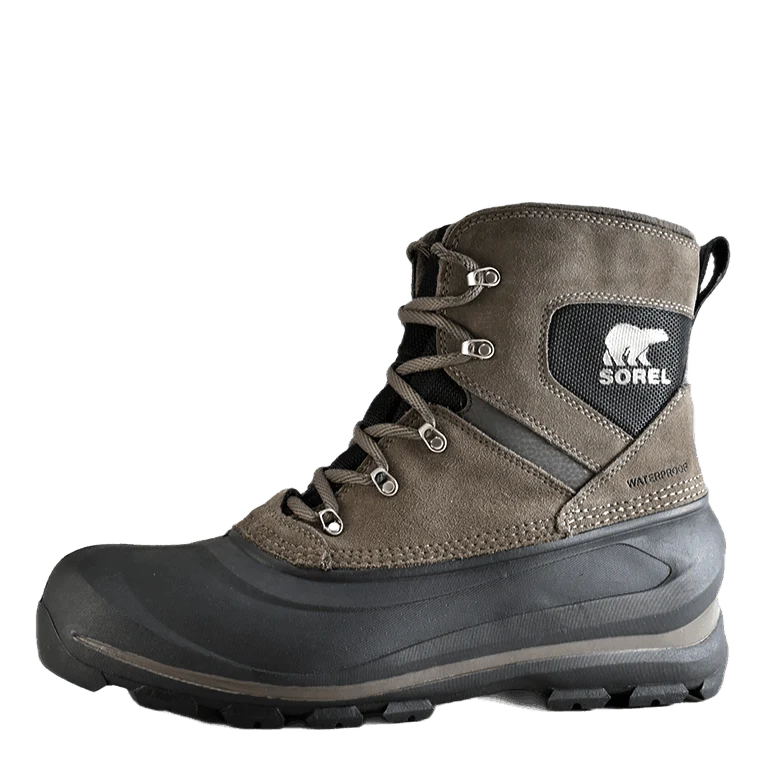 Buxton Lace Major / Black