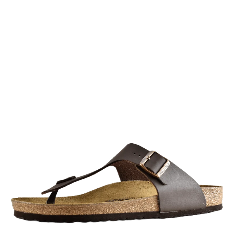 Ramses (normal) Brown