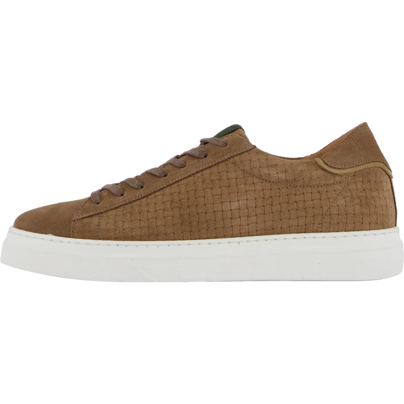 Brian Taupe