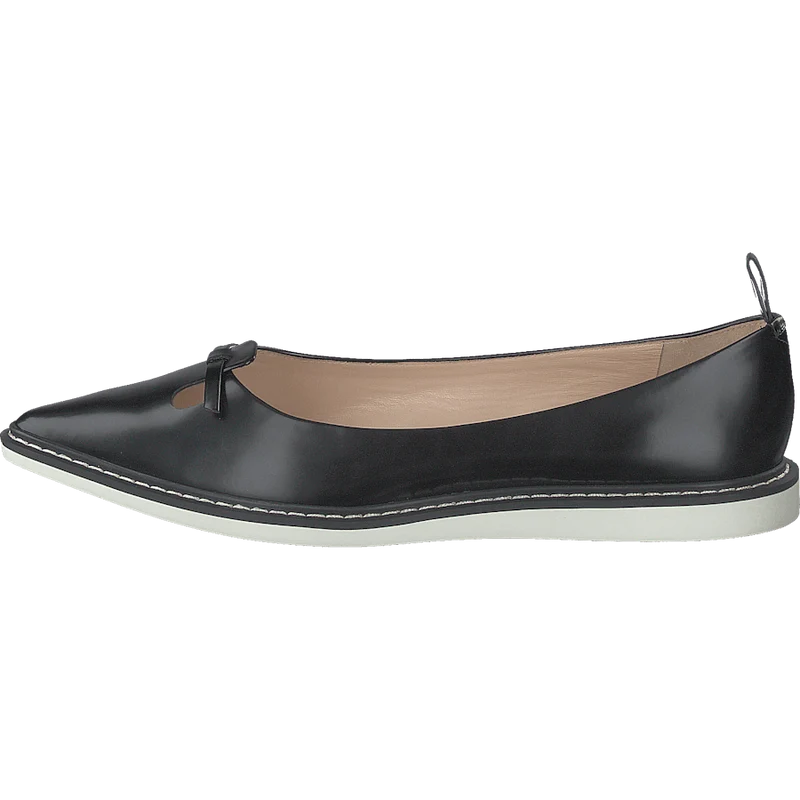 The Mouse Shoe Black