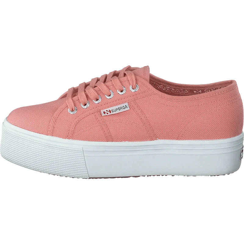 2790 Acotw Linea Rose Lobster