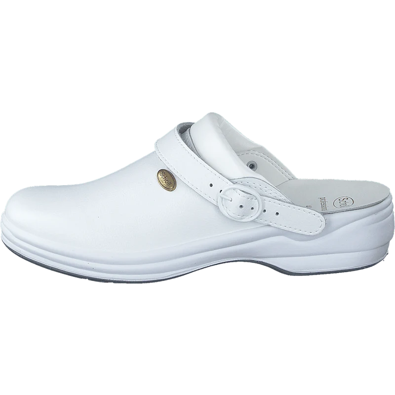 New Bonus White