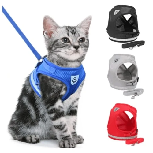 Cat Leash And Harness